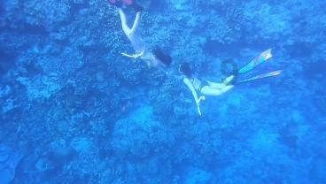 客观的说一下这个女人的长相怎么样？